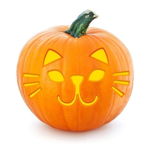 Cat face template for pumpkin carving download Cat