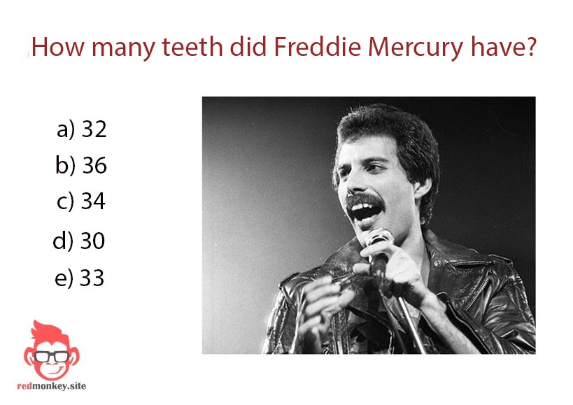 How many teeth did Freddie Mercury have? How many teeth did Freddie Mercury have?
