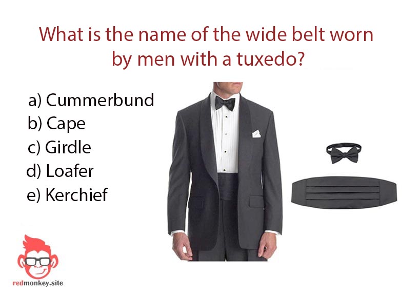 Wide belt worn by men with a tuxedo Wide belt worn by men with a tuxedo