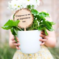 Що подарувати вихователю у дитячому садку?